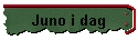 Juno i dag